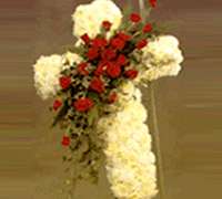 Envio y venta de flores ,rosas, plantas,arreglos florales ,regalos y desayunos a domicilio con delivery gratis en la Ciudad Autonoma de Buenos Aires y con costo de env�o en localidades del Gran Buenos Aires asi como delivery de flores y plantas a trav�s de florerias asociadas en todas las provincias de la Argentina, Buenos Aires, la Pampa, Tucuman, La Rioja, R�o Negro, Entre Rios, Corrientes, Misiones, Neuquen, Chubut, Tierra del Fuego, Santa Cruz, San Luis, Mendoza, Cordoba, Jujuy, Formosa, Santiago del Estero, Salta, Chaco, Catamarca ,San Juan, y ademas realizamos el delivery de flores ,coronas,palmas , plantas y regalos a todas las ciudades de Argentina, Mar del Plata, C�rdoba, Buenos Aires, con cargo en Santa Rosa, La Plata, Bella Vista, Neuquen, Pilar, Paran�, Posadas, Resistencia, Cipolleti y mas de 300 ciudades y localidades en todo el territorio de nuestro pa�s, asi como tambien tenemos la posibilidad de enviar flores a casi todo el mundo en cuestion de horas